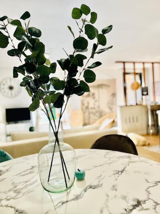 Le Cottage Breton, Hypercentre Historique Stb แซงต์-บรีเออ ภายนอก รูปภาพ