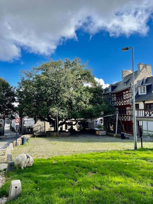 Le Cottage Breton, Hypercentre Historique Stb แซงต์-บรีเออ ภายนอก รูปภาพ